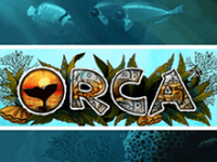 Игровые автоматы Orca
